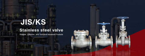 CNM Stainless Steel Valves 