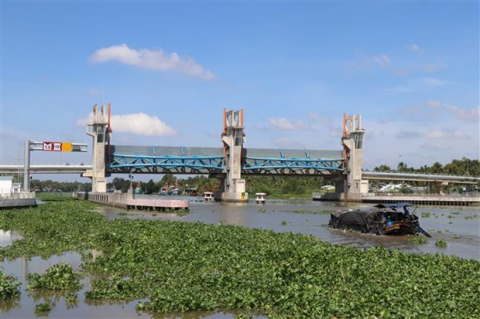 Dự báo xâm nhập mặn vào các cửa sông Mekong gia tăng trong tháng 3