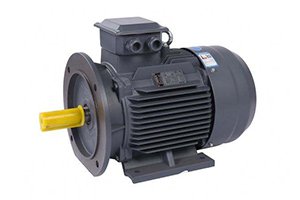 Electric Motor, three phase asynchronous motor