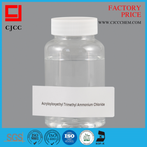 Acryloyloxyethyl Trimethyl Ammonium Chloride(DAC)