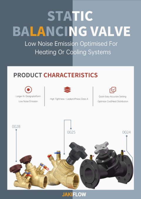 Balancing Valve