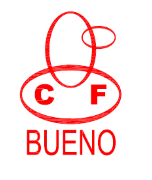 BUENO TECHNOLOGY CO., LTD