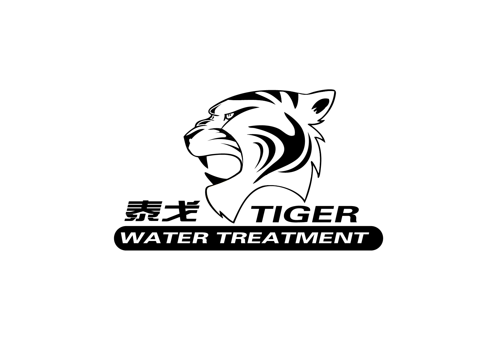 HANGZHOU TIGER WATER TREATMENT EQUIPMENT CO ., LTD