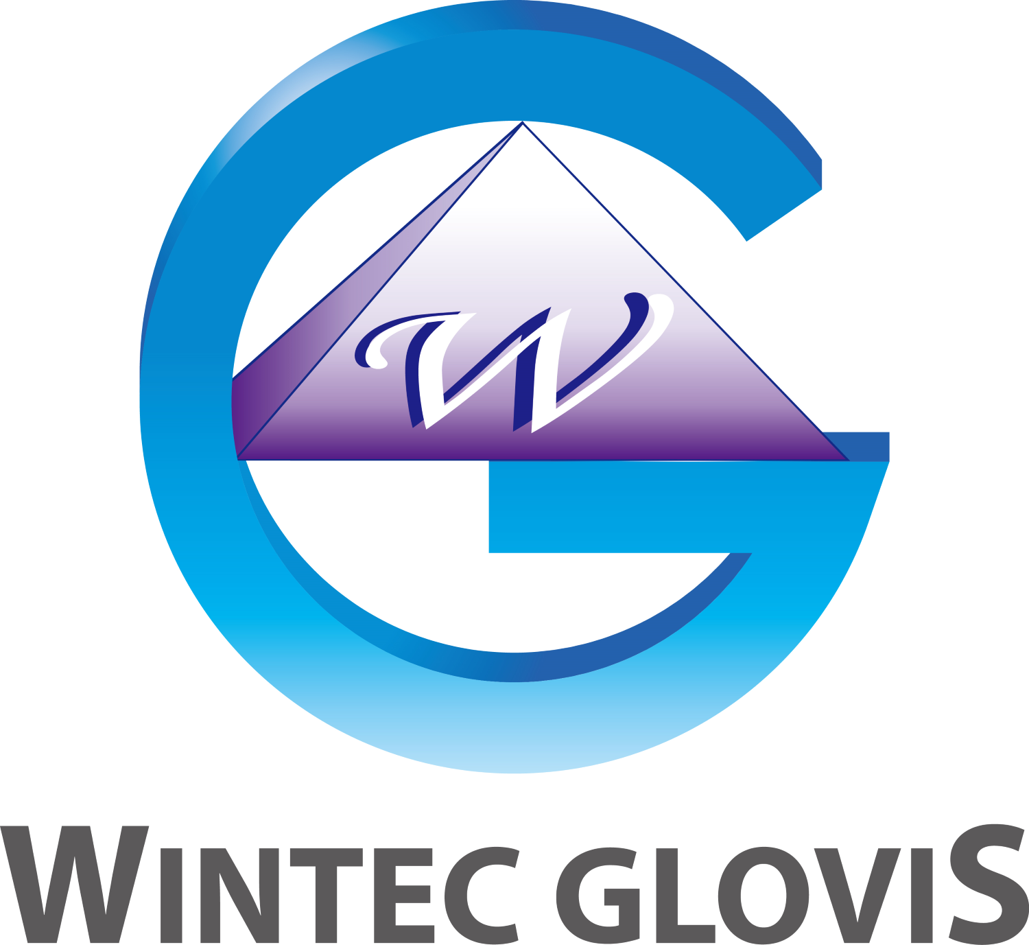WINTEC GLOVIS CO., LTD