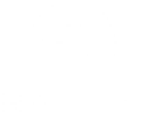 RADIUS SYSTEMS LTD